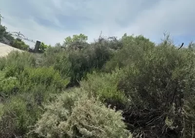 Affordable Commercial Junk Removal