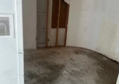 Top Yard Waste Removal