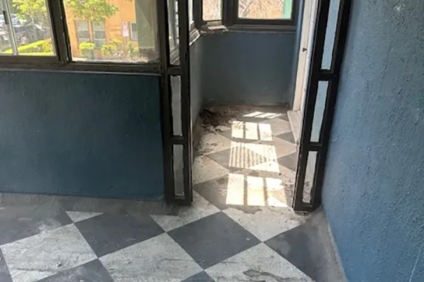 Professional Junk Services